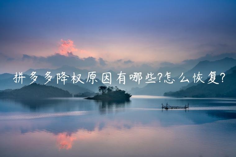 拼多多降權(quán)原因有哪些?怎么恢復(fù)?